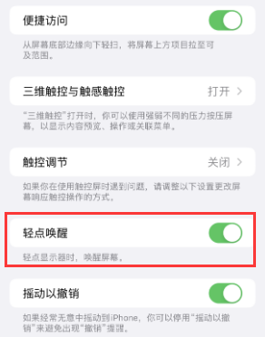 铜梁苹果授权维修站分享iPhone轻点无法唤醒怎么办 