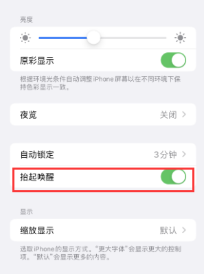 铜梁苹果授权维修站分享iPhone轻点无法唤醒怎么办