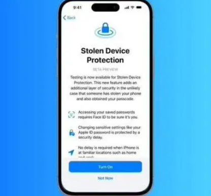 铜梁苹果授权维修店分享被盗设备保护功能开启方法 