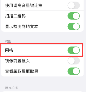 铜梁苹果手机维修网点分享iPhone如何开启九宫格构图功能