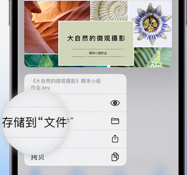 铜梁apple维修中心分享iPhone文件应用中存储和找到下载文件