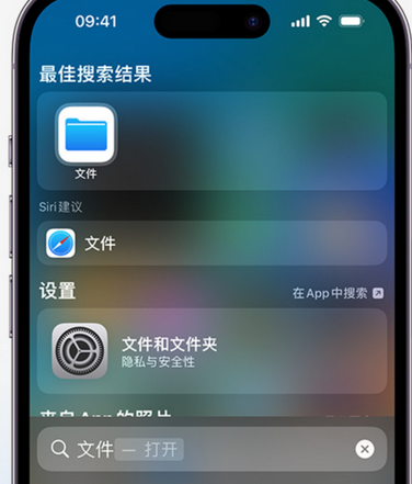 铜梁apple维修中心分享iPhone文件应用中存储和找到下载文件 