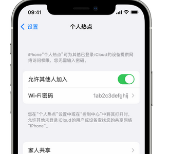 铜梁apple服务站点分享iPhone上个人热点丢失了怎么办 