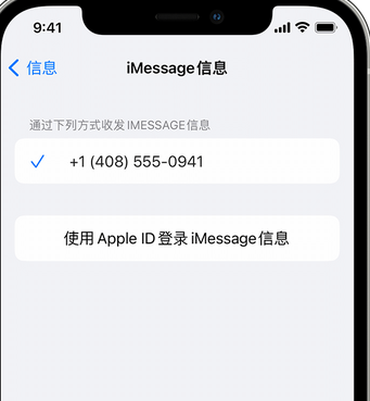 铜梁apple维修iPhone上无法正常发送iMessage信息 