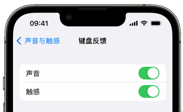 铜梁苹果手机维修分享iPhone 14触感键盘使用方法 