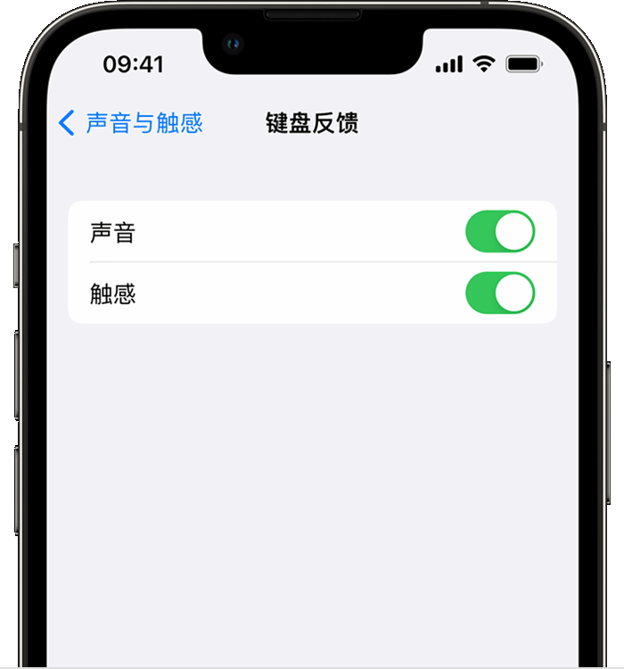 铜梁苹果14维修店分享如何在 iPhone 14 机型中使用触感键盘 