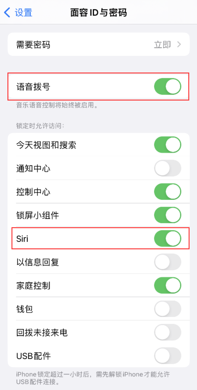 铜梁苹果维修网点分享不解锁 iPhone 的情况下通过 Siri 拨打电话的方法 