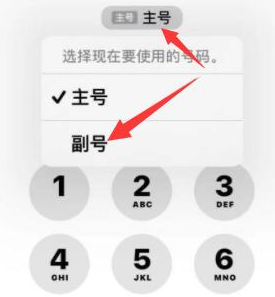 铜梁苹果14维修店分享iPhone 14 Pro Max使用副卡打电话的方法 