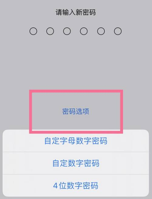 铜梁苹果14维修分享iPhone 14plus设置密码的方法 