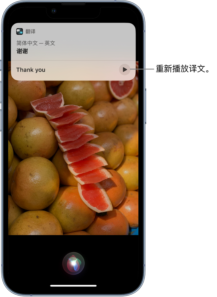 铜梁苹果14维修分享 iPhone 14 机型中使用 Siri：了解 Siri 能帮你做什么 