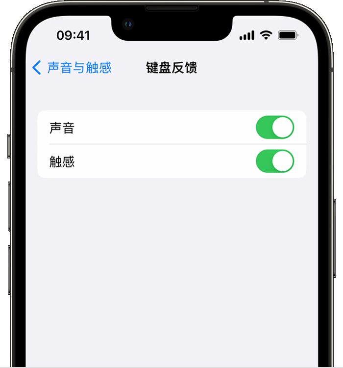铜梁苹果14维修分享iPhone 14 系列机型如何开启键盘声音或触感反馈 