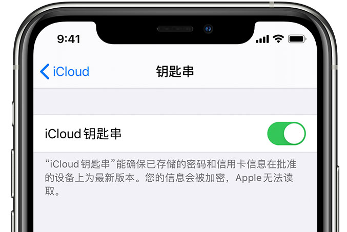 铜梁苹果手机维修分享在 iPhone 上开启 iCloud 钥匙串之后会储存哪些信息 