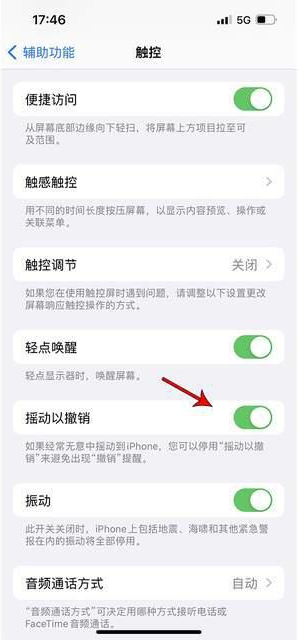 铜梁苹果手机维修分享iPhone手机如何设置摇一摇删除文字 