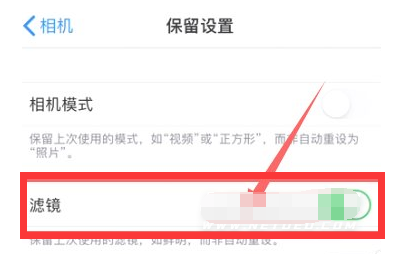铜梁苹果13维修分享iPhone13拍照有绿点是怎么回事 